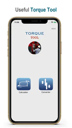 Torque TOOL iPhone image 1