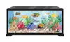 Aquarium Real Time : 4K problems & troubleshooting and solutions