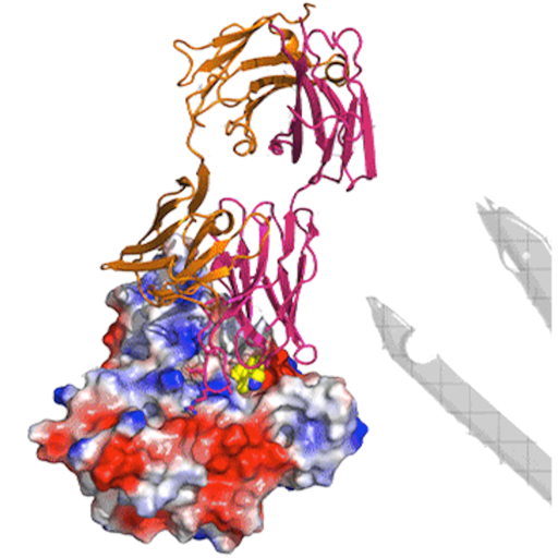 HIV Antibody Database