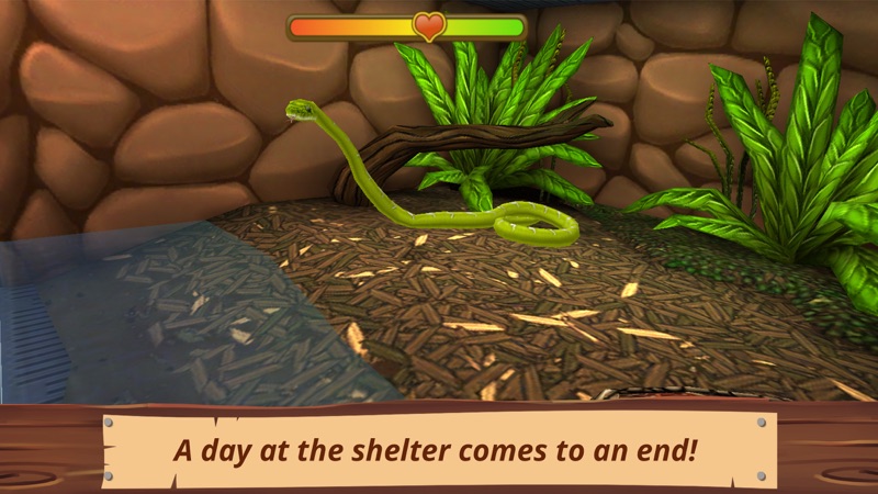 Pet World - My Animal Shelter screenshot 4