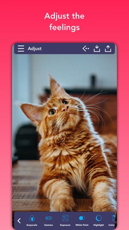 Illusory - Photo editor