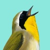 Song Sleuth Bird Song Analyzer icon