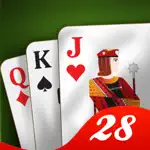28 Card Game Offline App Contact