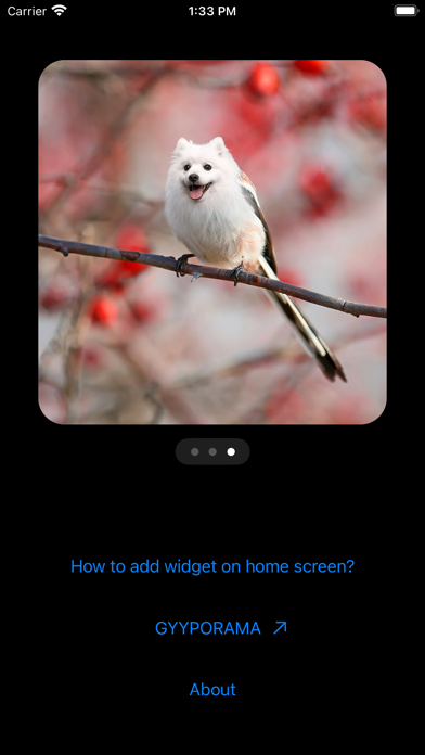 Photo Widgets • Hybrid animalsのおすすめ画像3