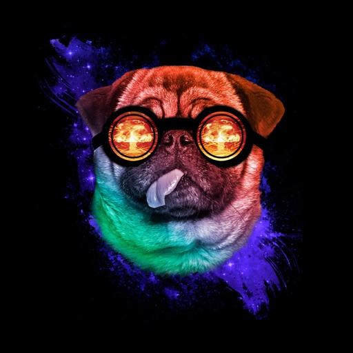 Dogs Wallpapers 4K HQ Notch icon