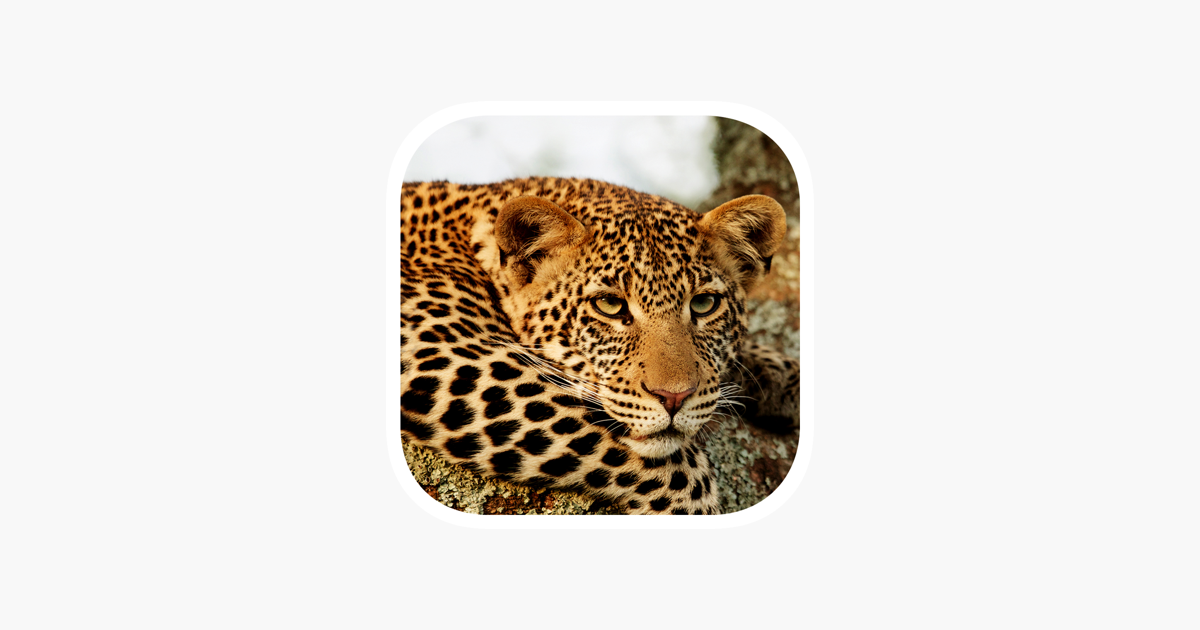 ‎Stuarts' SA Mammals on the App Store