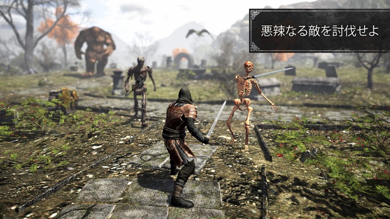 イーヴィル・ランズ MMORPG アクション冒険 screenshot 6