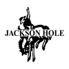 Jackson Hole Burgers NY icon