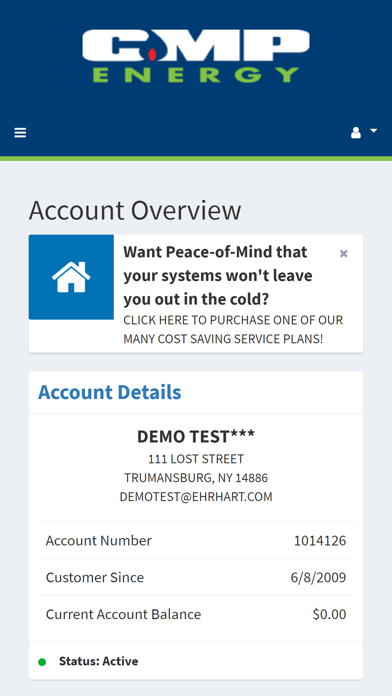 CMP Energy Online Portal Screenshot