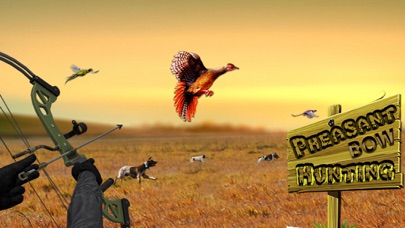 Pheasant Bow Hunting Safari Screenshot