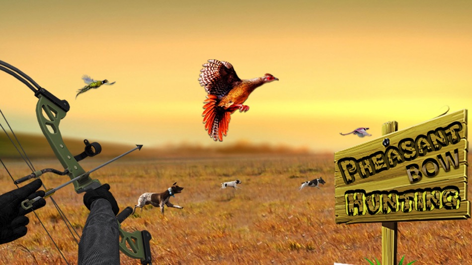 Pheasant Bow Hunting Safari - 1.3 - (iOS)