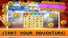 Game screenshot Big Win Casino Bingo Card Game mod apk