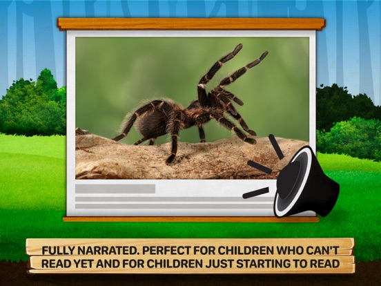 Bugs 2: What Are They Like? iPad screenshot 7 - Education app