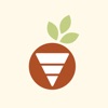 Healthful Delivery icon