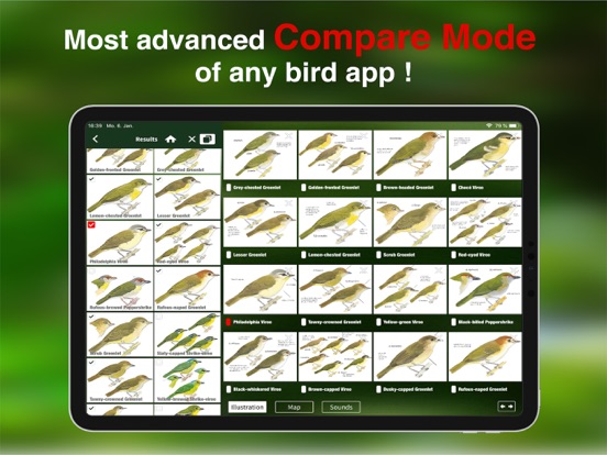 All Birds Colombia field guide iPad app afbeelding 9