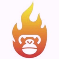 猴子探站极速版