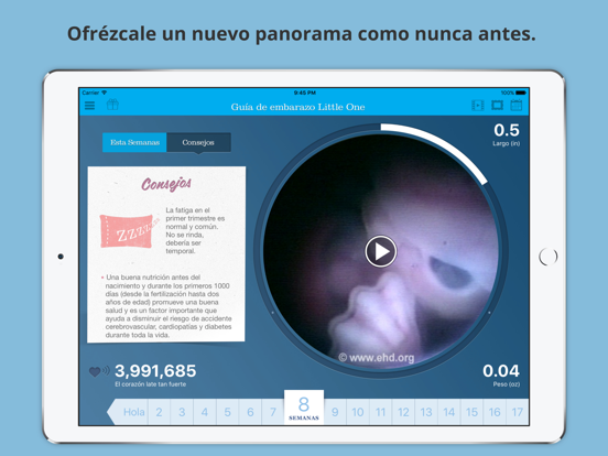 Screenshot #4 pour Guía de embarazo Little One