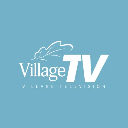 Village Television Читы