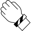 H66 icon