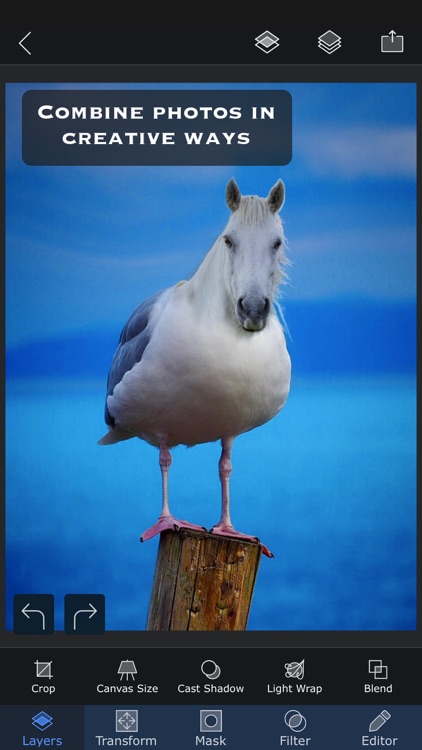 Superimpose X screenshot-1