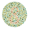 Color Blind Test (CBT) - Bishworaj Poudel