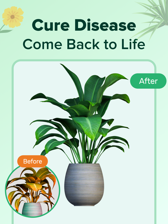 PlantNow-Plant Identification iPad screenshot 2 - Education app