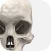 XR Anatomy - iPhoneアプリ