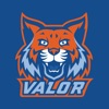Valor Collegiate Academies icon