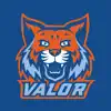 Valor Collegiate Academies App Feedback