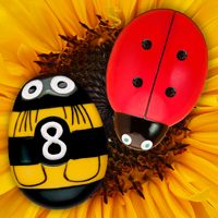 Count Match and Order - US