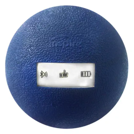 Timing Pro Timing Ball Читы