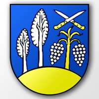 Košická Nová Ves logo
