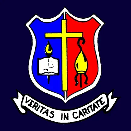 St. Munchin’s College Cheats