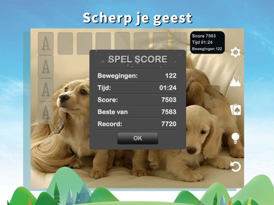 Classic Solitaire - Kaartspel iPad app afbeelding 7