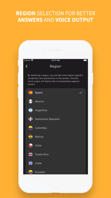 How Can I Say: Language Helper Screenshot