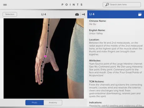 Acupuncture Points