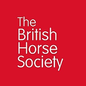 螢幕擷取畫面 (3) Horse i