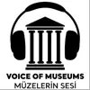 Voice Of Museums problems & troubleshooting and solutions