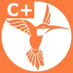 C++ Recipes App Contact