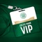 Icon Celtic Park VIP