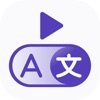 LangVideo - Learn Languages icon