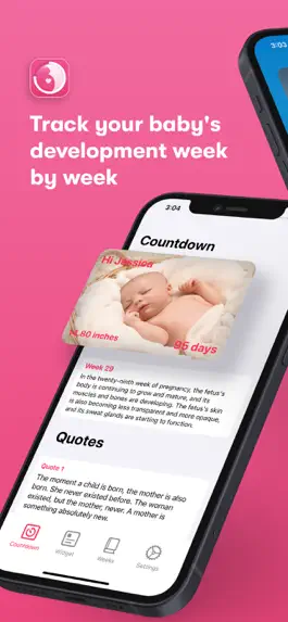 Game screenshot Baby Due Date Countdown Widget apk