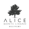 Alice Monte Líbano Delivery