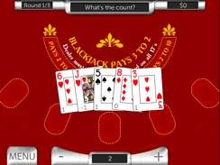 Card Counter iPad image 1