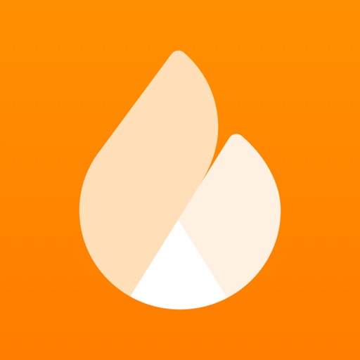 Netatmo Energy icon