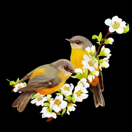 Ultimate Bird Soundboard Cheats