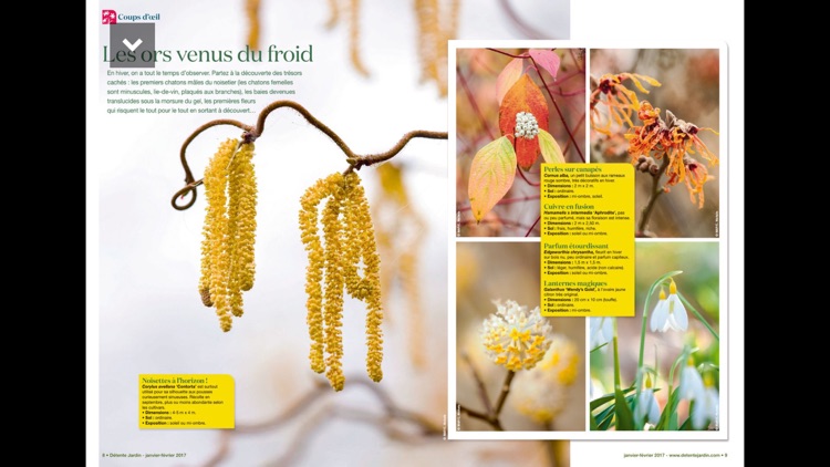 Détente Jardin Magazine screenshot-4