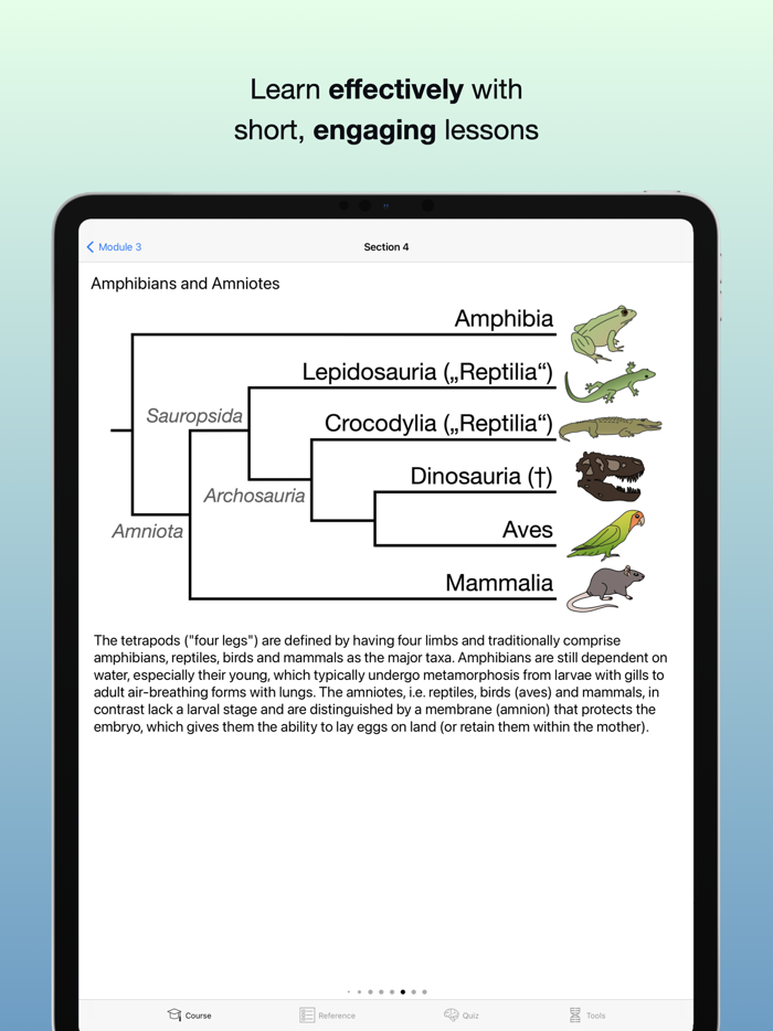 Codon One Learning Biology