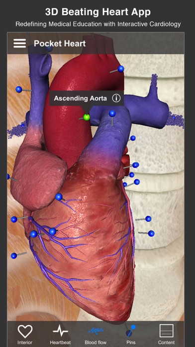 Pocket Heart - インタラクティブ心臓学のおすすめ画像1