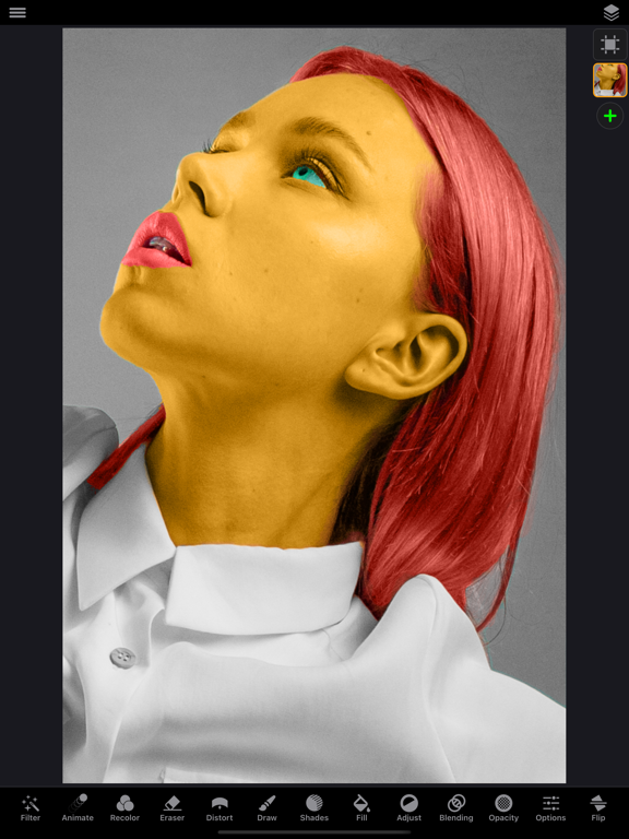 Screenshot #4 pour ReColor - Éditeur Photo d'Art
